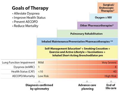 Breaking down barriers to COPD management in primary care: applying the updated 2023 Canadian Thoracic Society guideline for pharmacotherapy